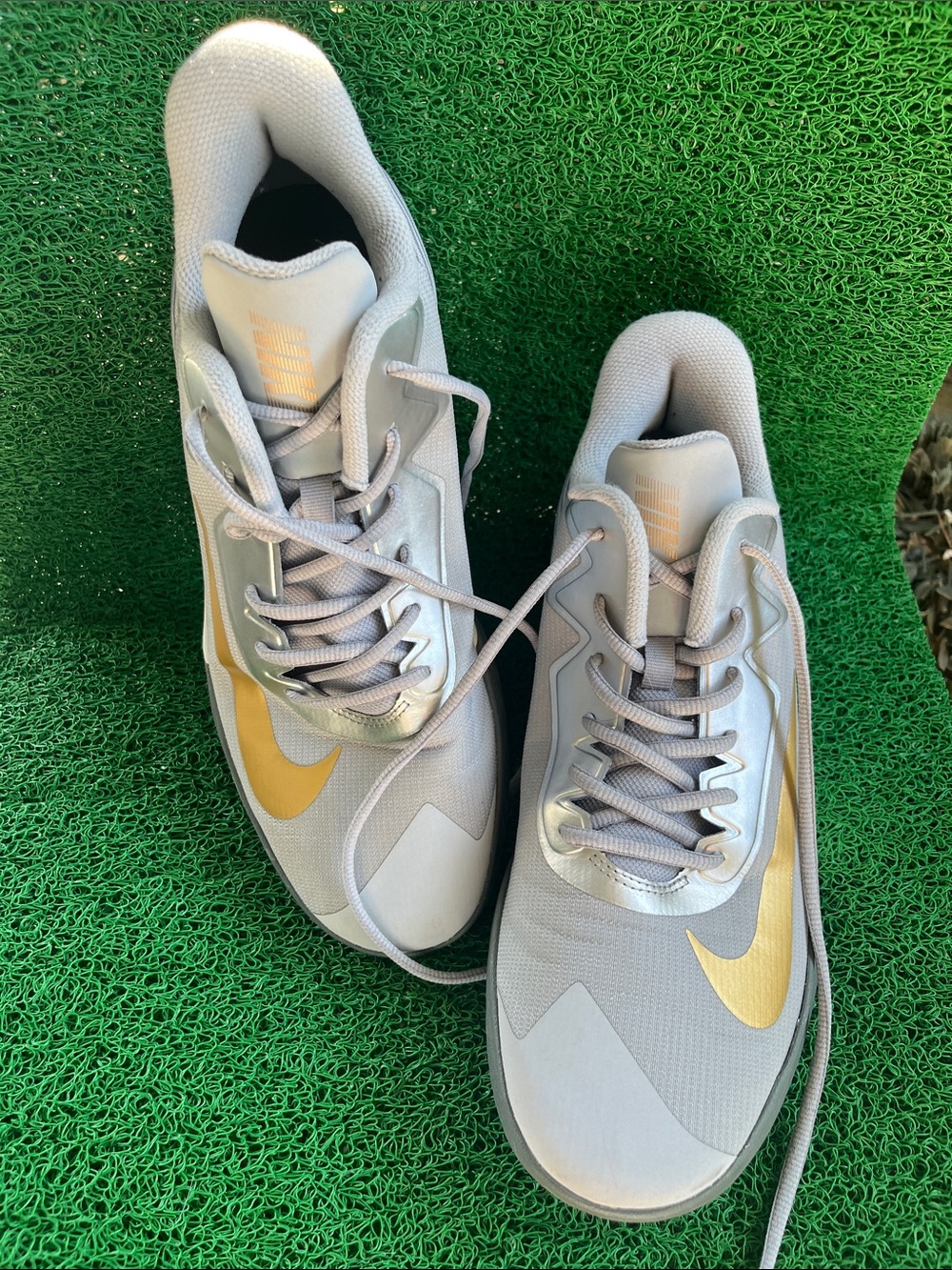 Nike Gray and Gold Low-Top Running Shoes